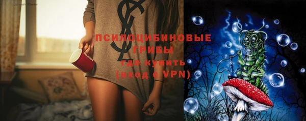 шишки Лиски