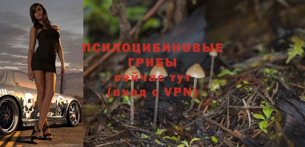 шишки Лиски