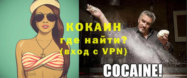 шишки Лиски