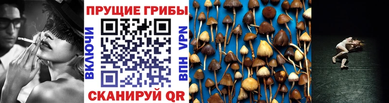 Купить закладки  Тимашёвск  Галлюциногенные грибы Psilocybine cubensis 